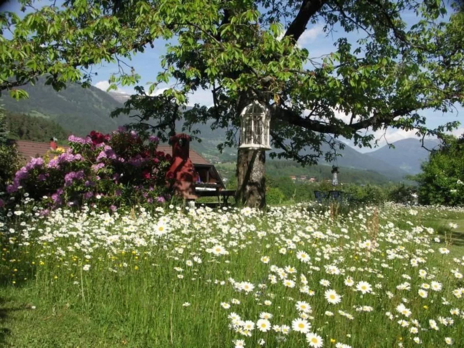 Wunderschöne Wohnung in Seeboden mit Großem Garten - Buiten