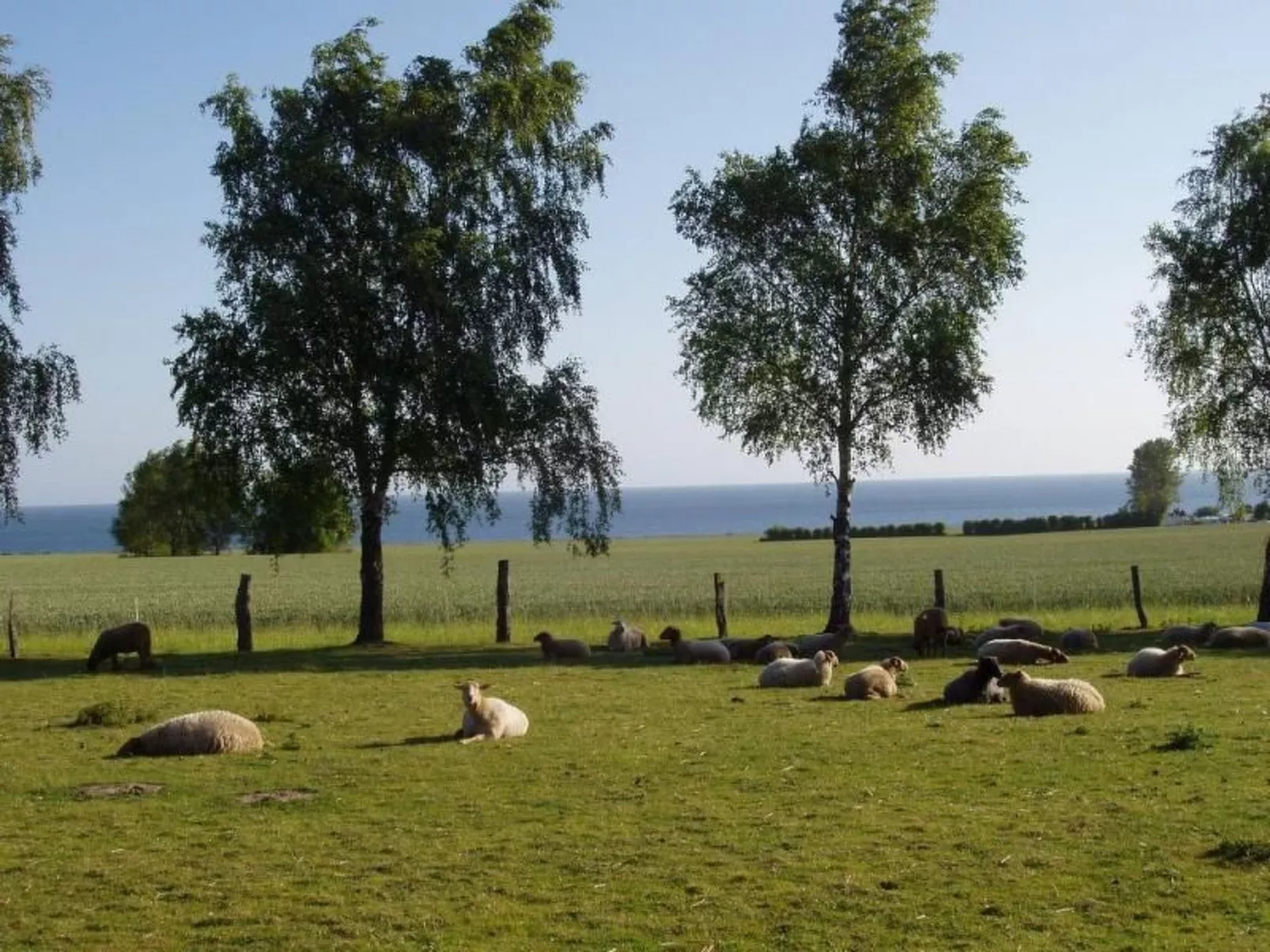 Mit Meerblick - direkt an der Ostsee-Buiten
