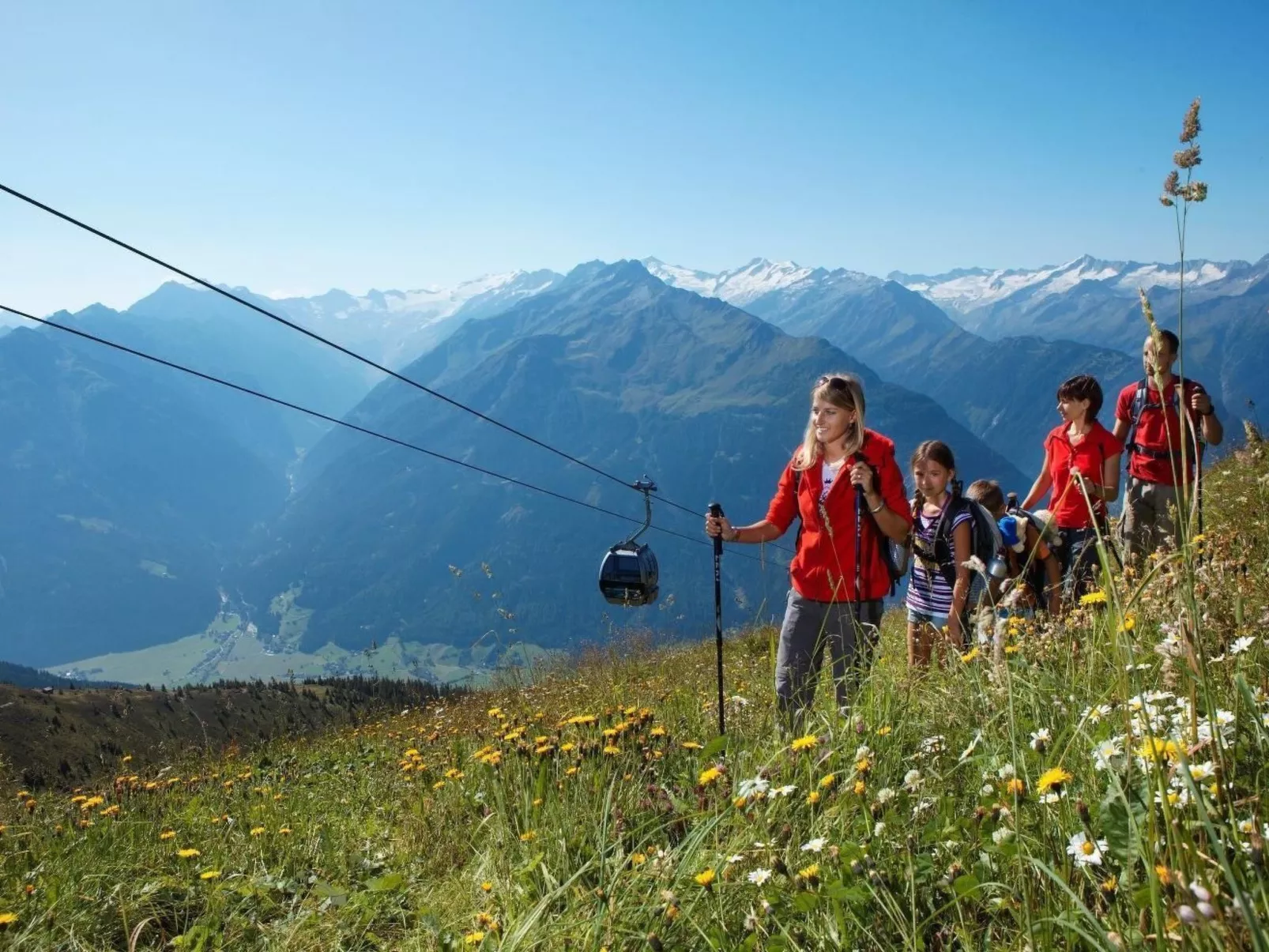 Bio-Haus # 402-Image-tags.info