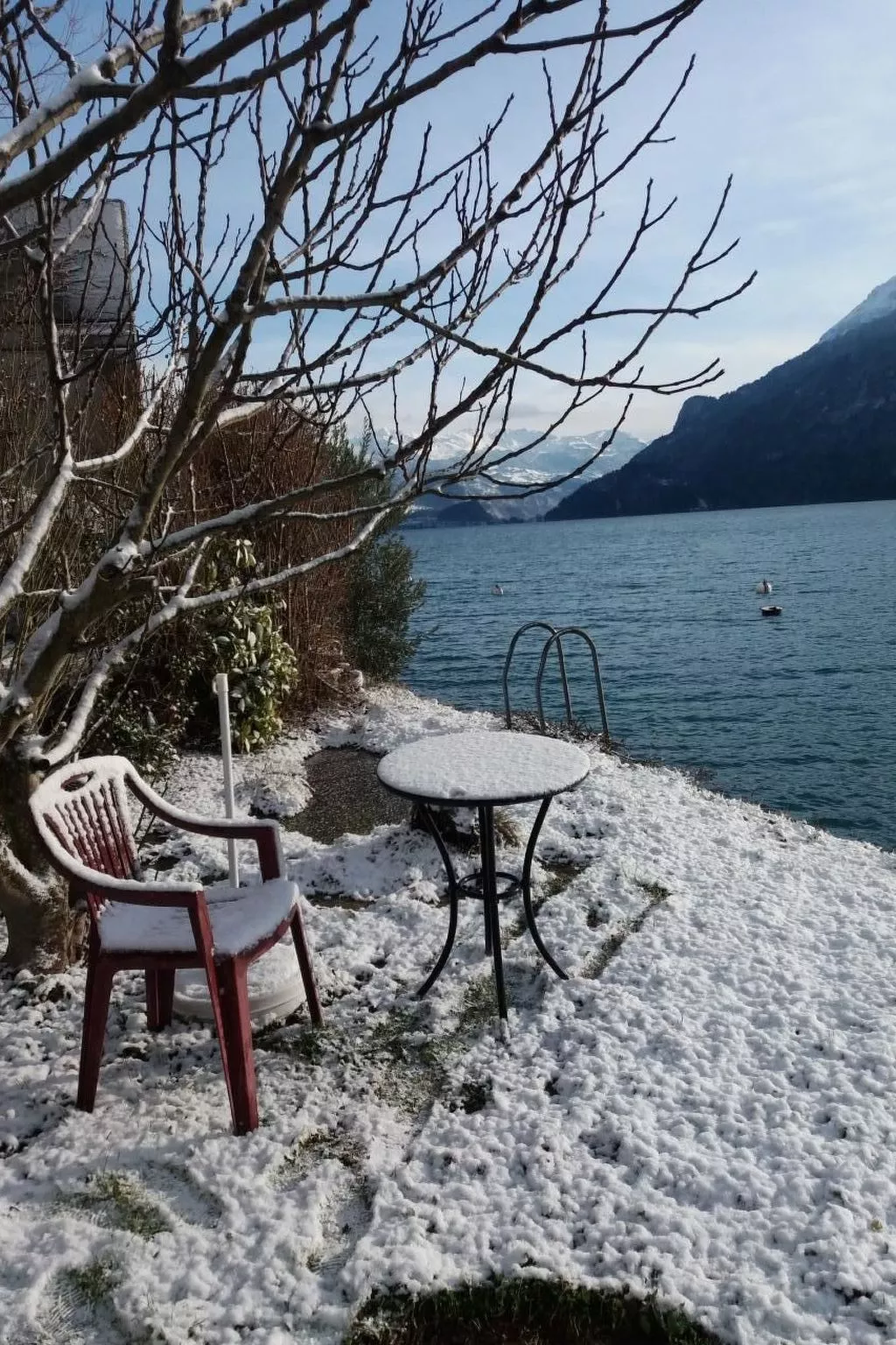 Chalet Holzwurm-Image-tags.info