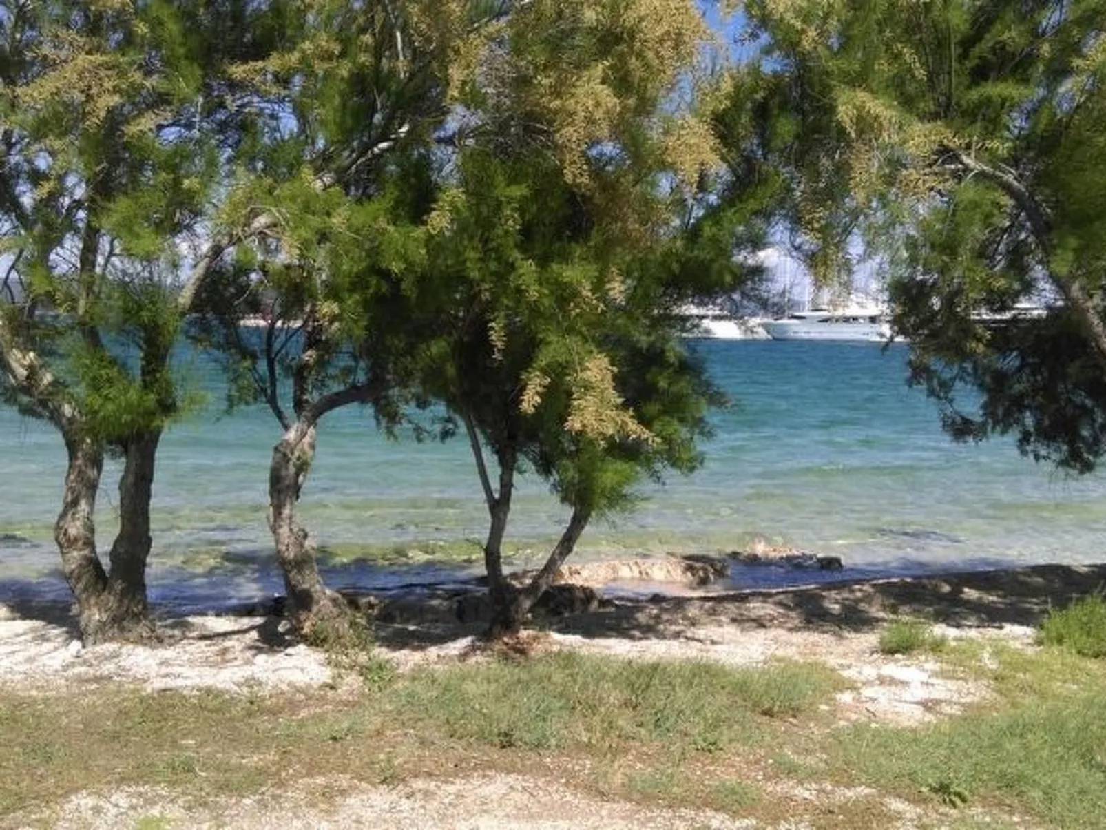 Studio in Strandnähe-Image-tags.info