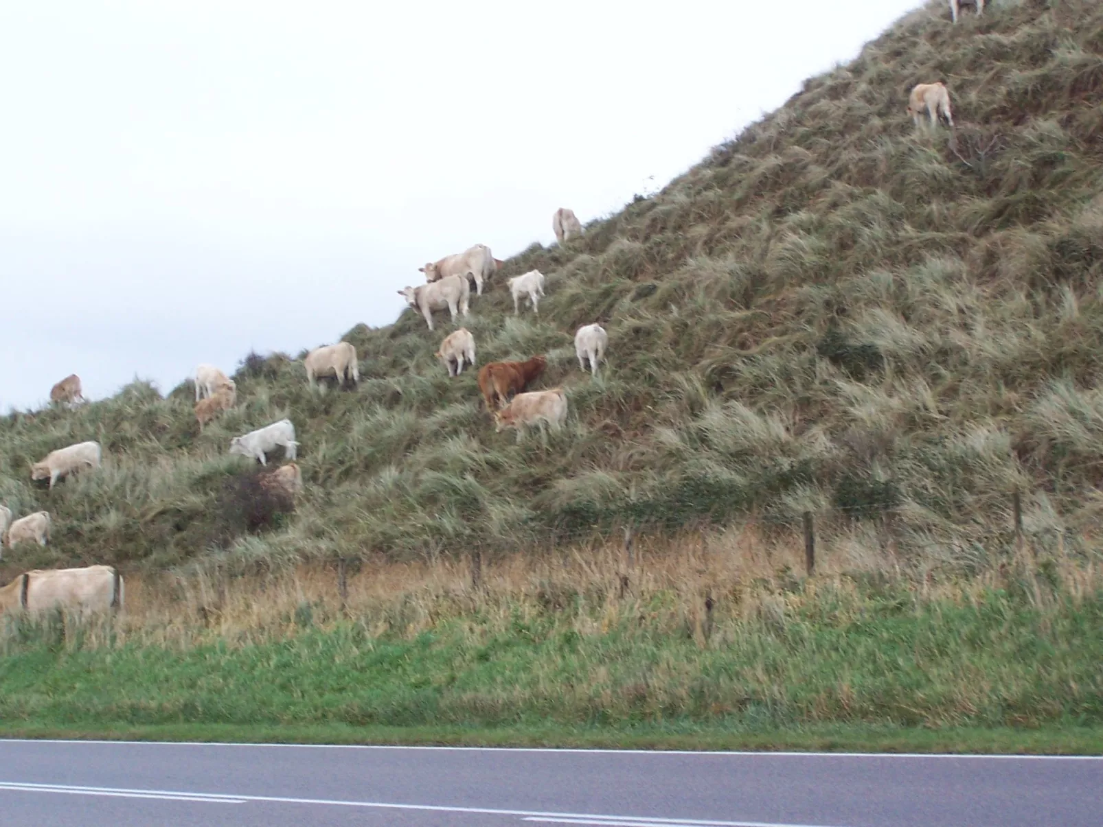 De Korre 2 in Callantsoog-Buiten