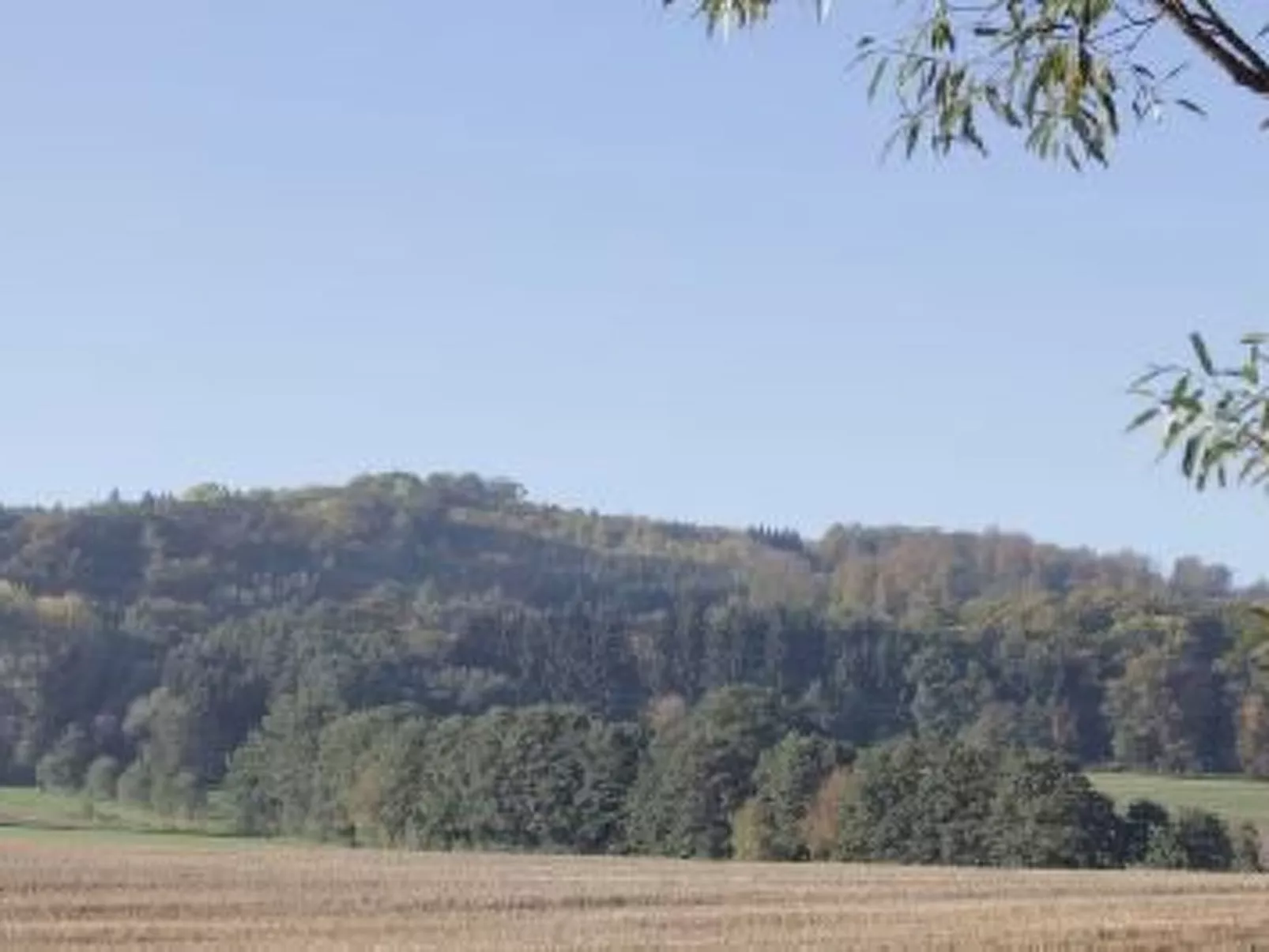 Gästehaus Kühne-Buiten