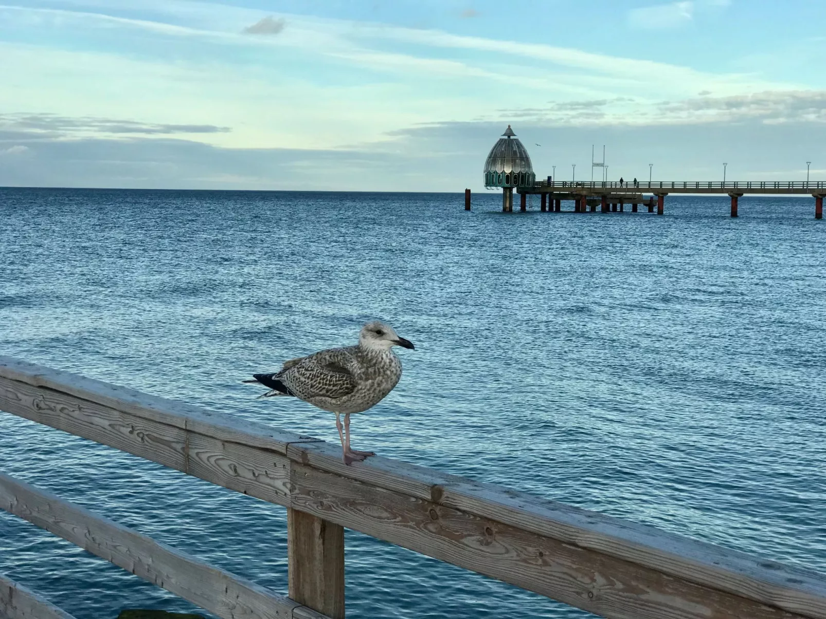 Wiesenblick 2-Buiten