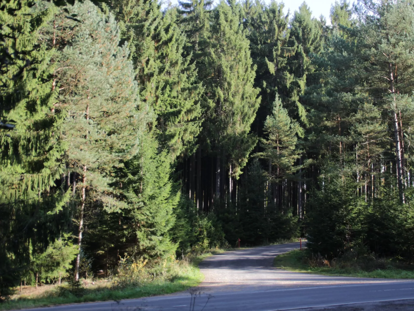 Haus Schmetterfly-Buiten