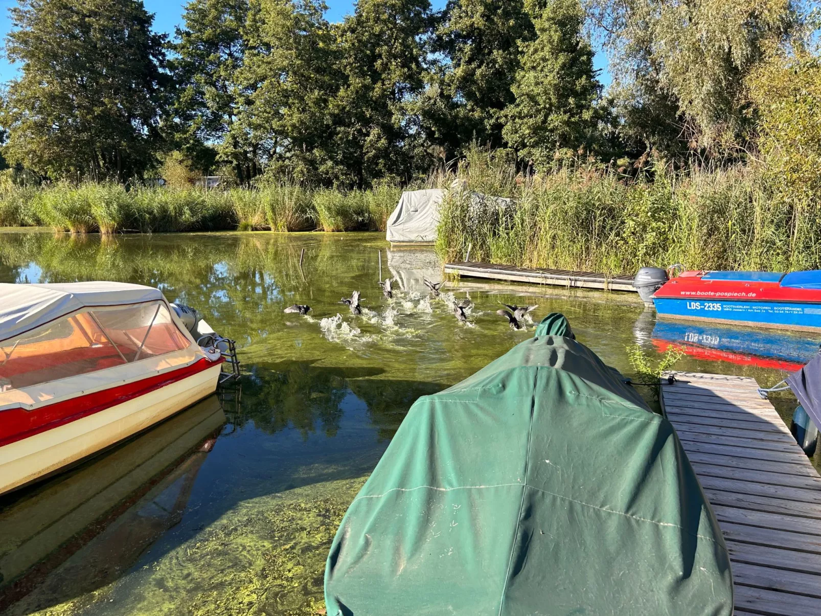 Am Schwielochsee-Buiten