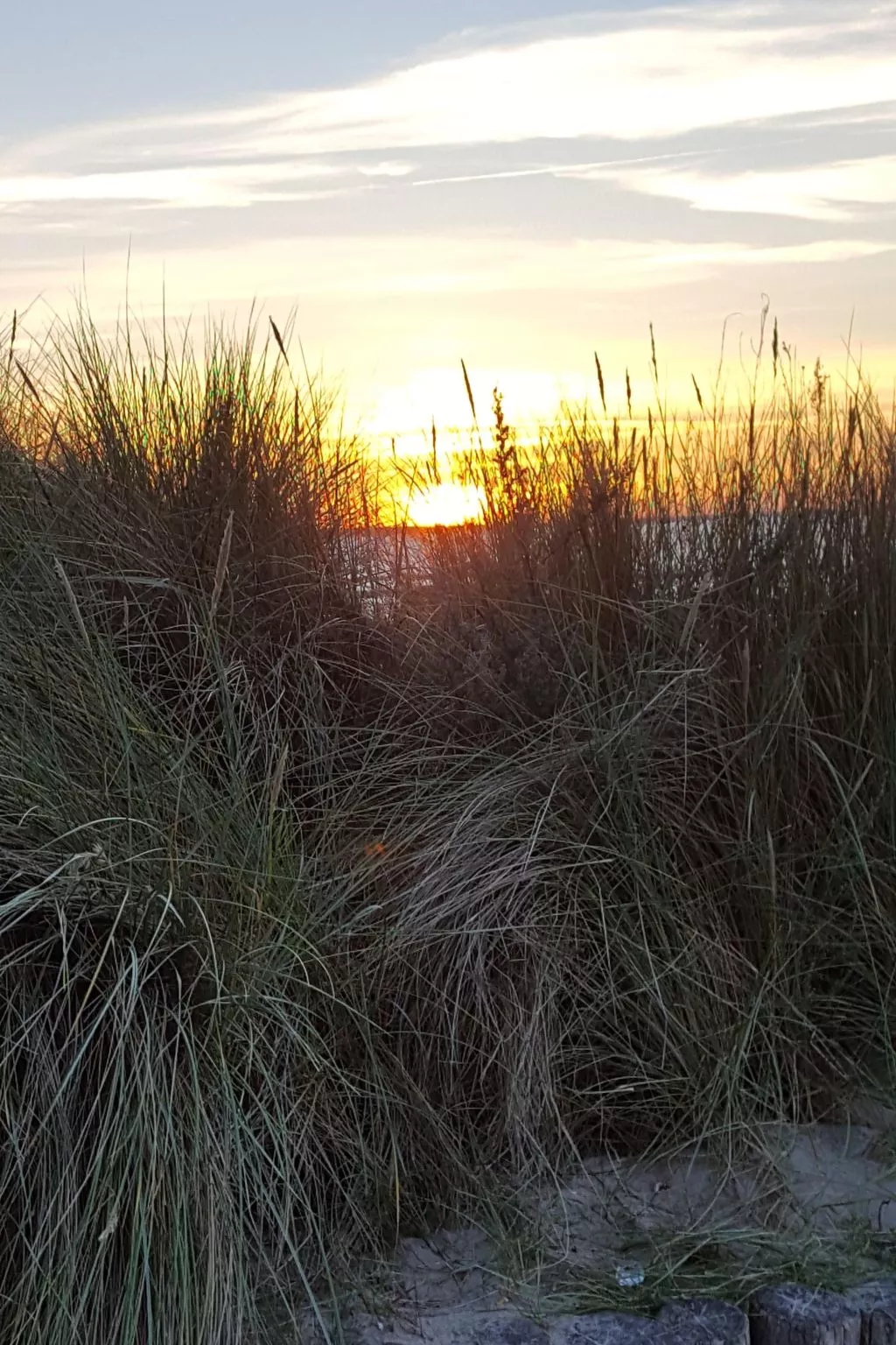 Fewo Waldblick EG-Buiten