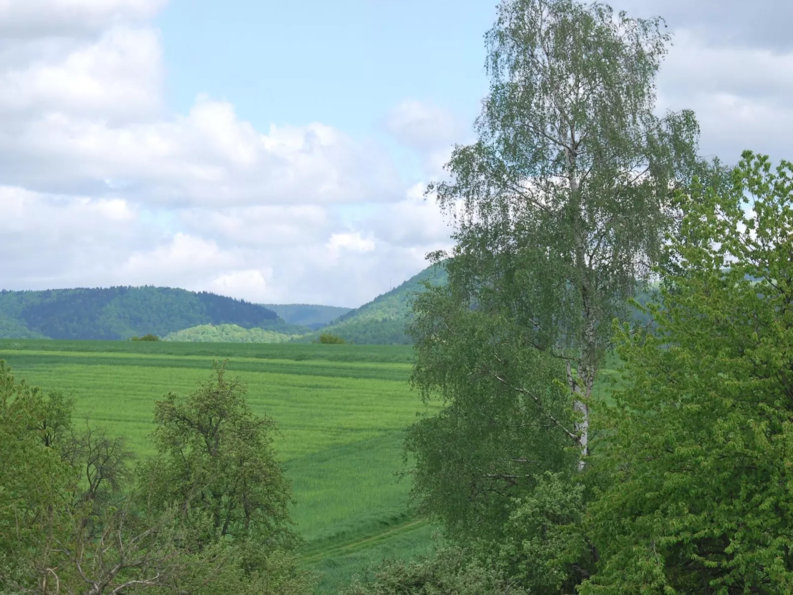 Fewo Stricker 11,-Buiten