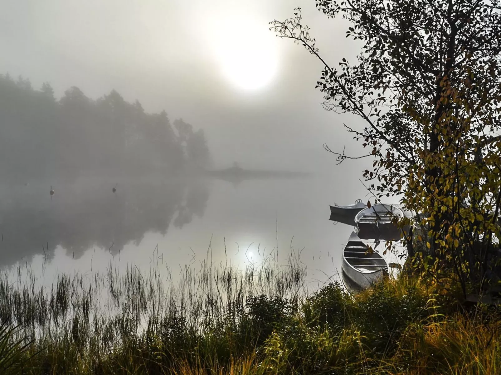 Schwedisches Glück, zwischen Wäldern und einem See-Buiten