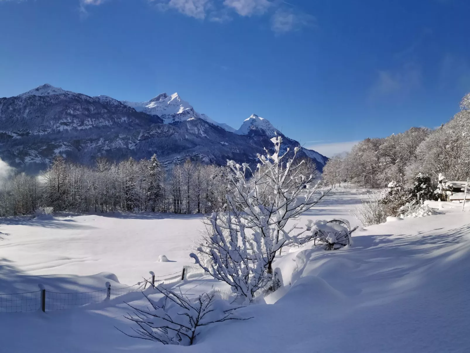 Rauft-Image-tags.info