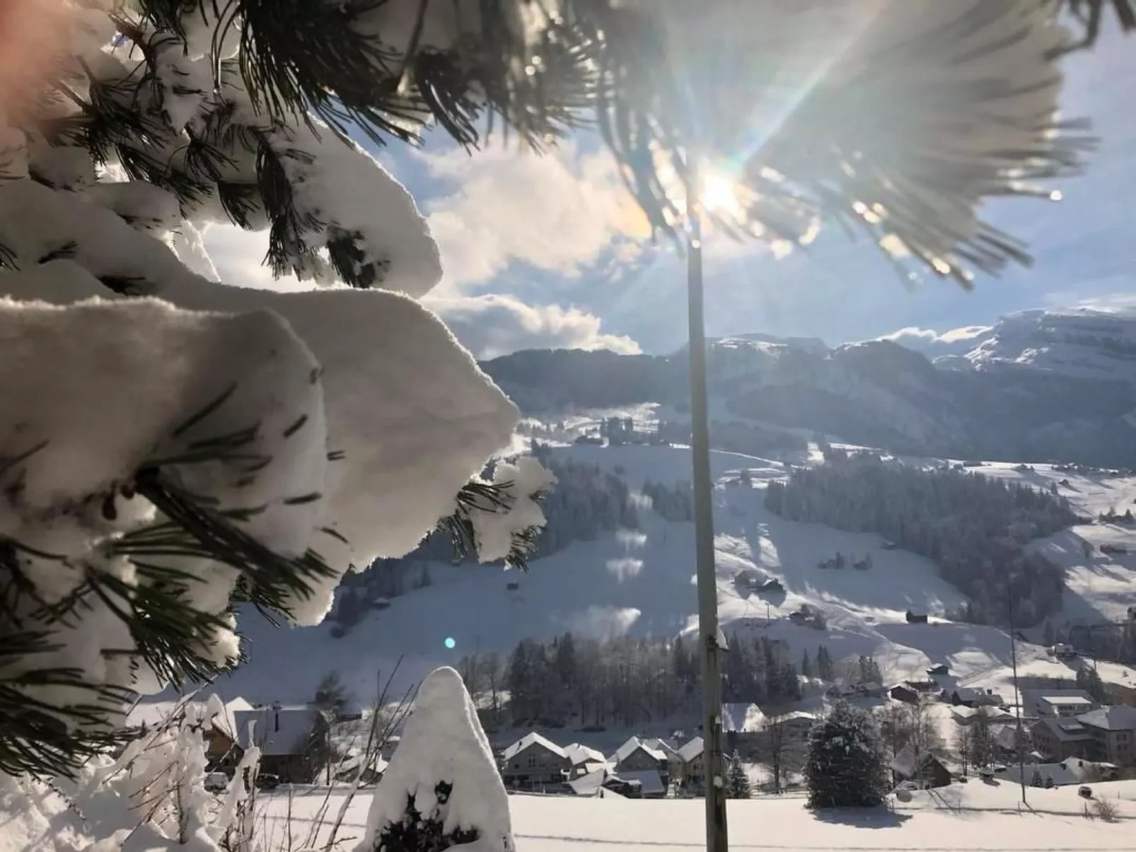 Höckli-Image-tags.info