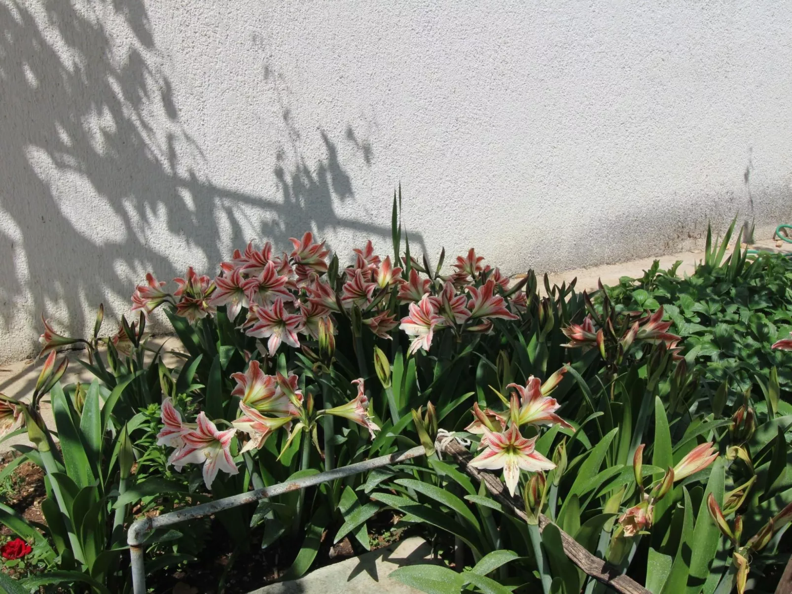 Apartment Dragica-Buiten