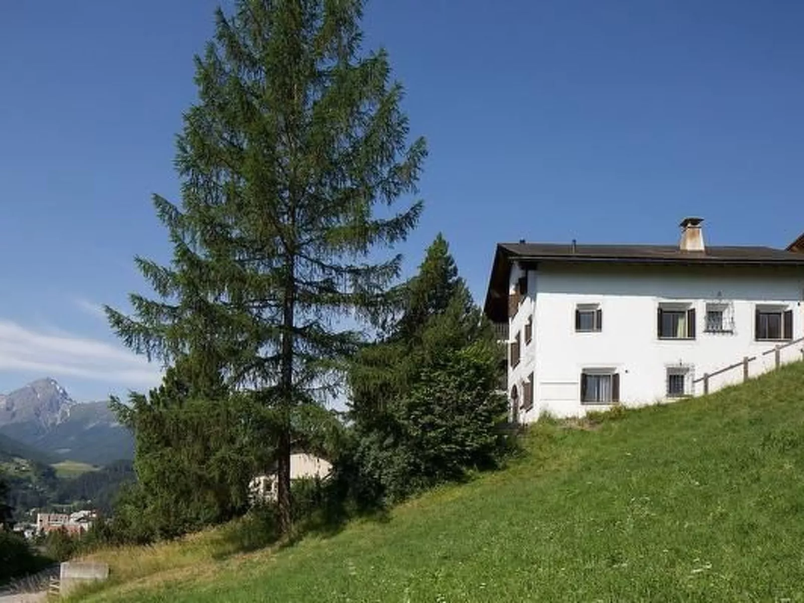 Sirena-Image-tags.info