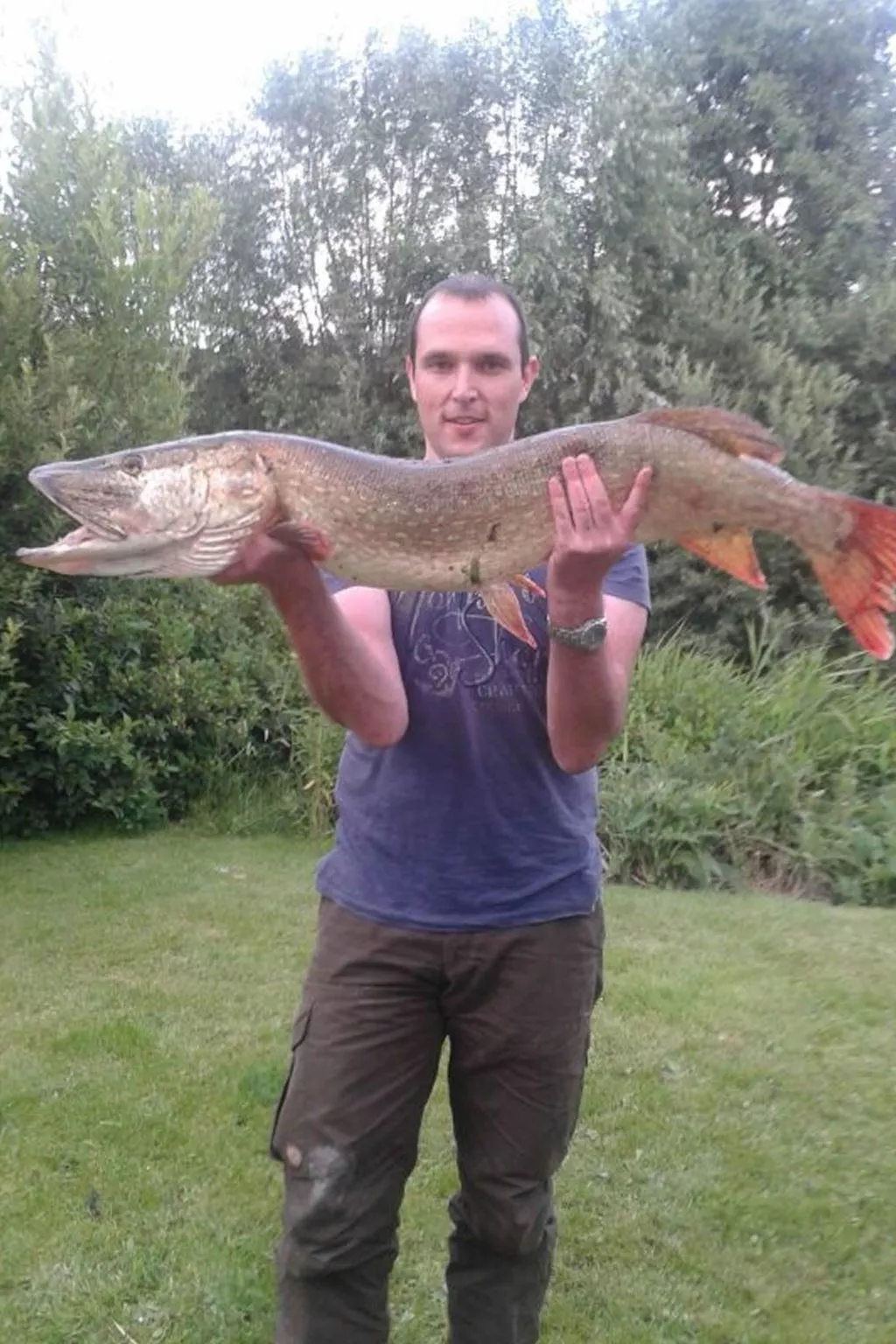 138 Merle-Image-tags.info