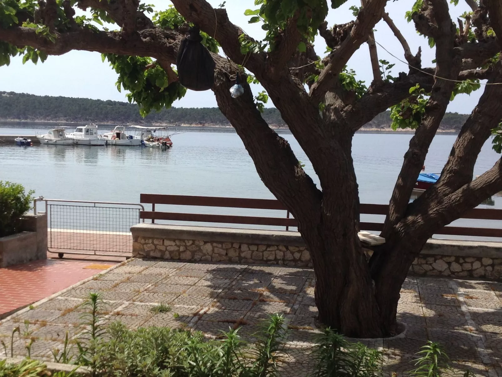 Wohnung 4 mit Meerblick-Buiten