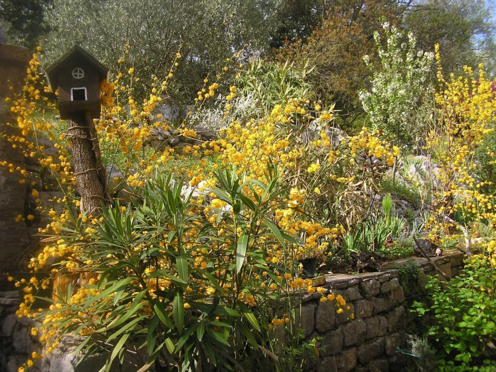 Mit Balkon und Terrasse-Buiten