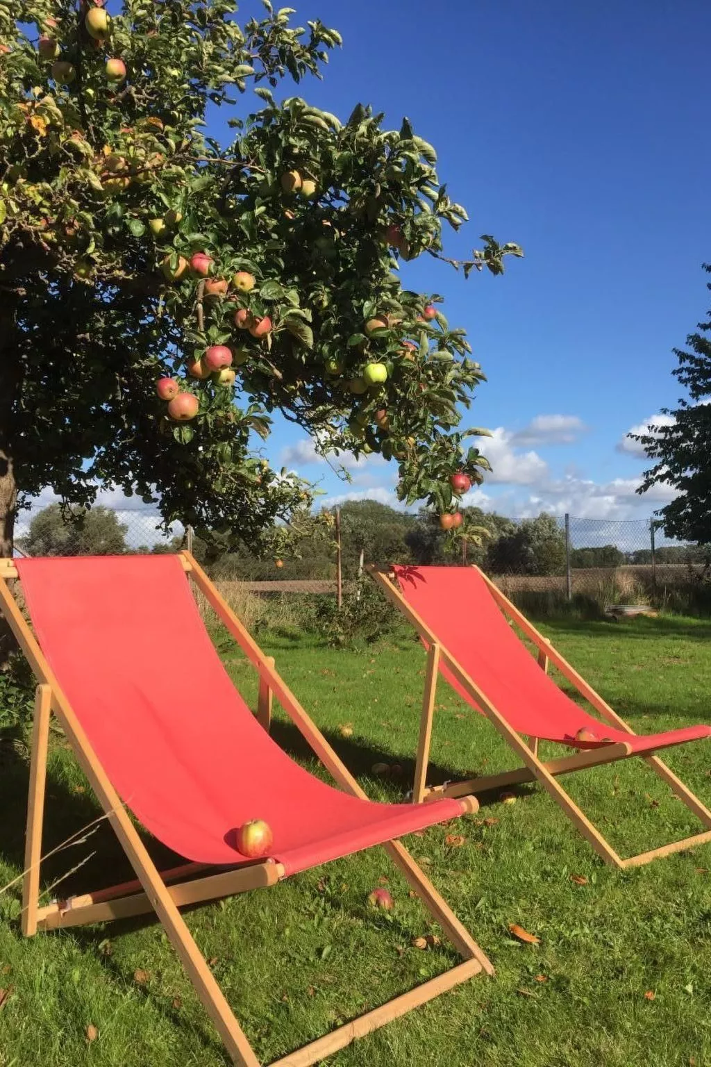 Bauernhaus auf Rügen-Buiten
