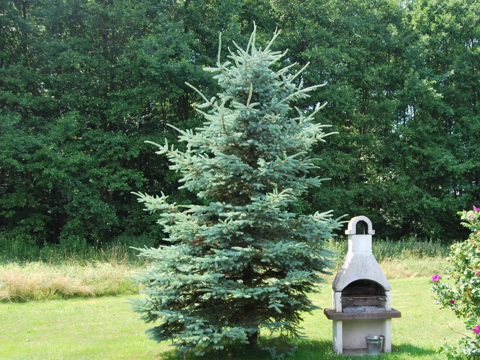 Fewo Stricker 31-Buiten