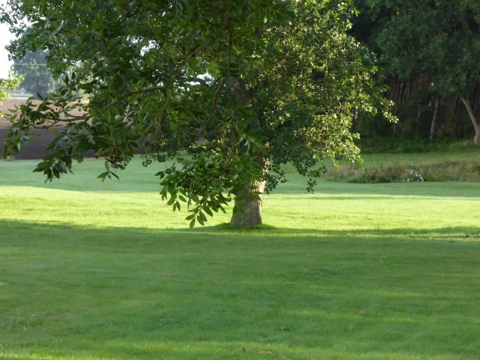 Parterre WEST-Buiten