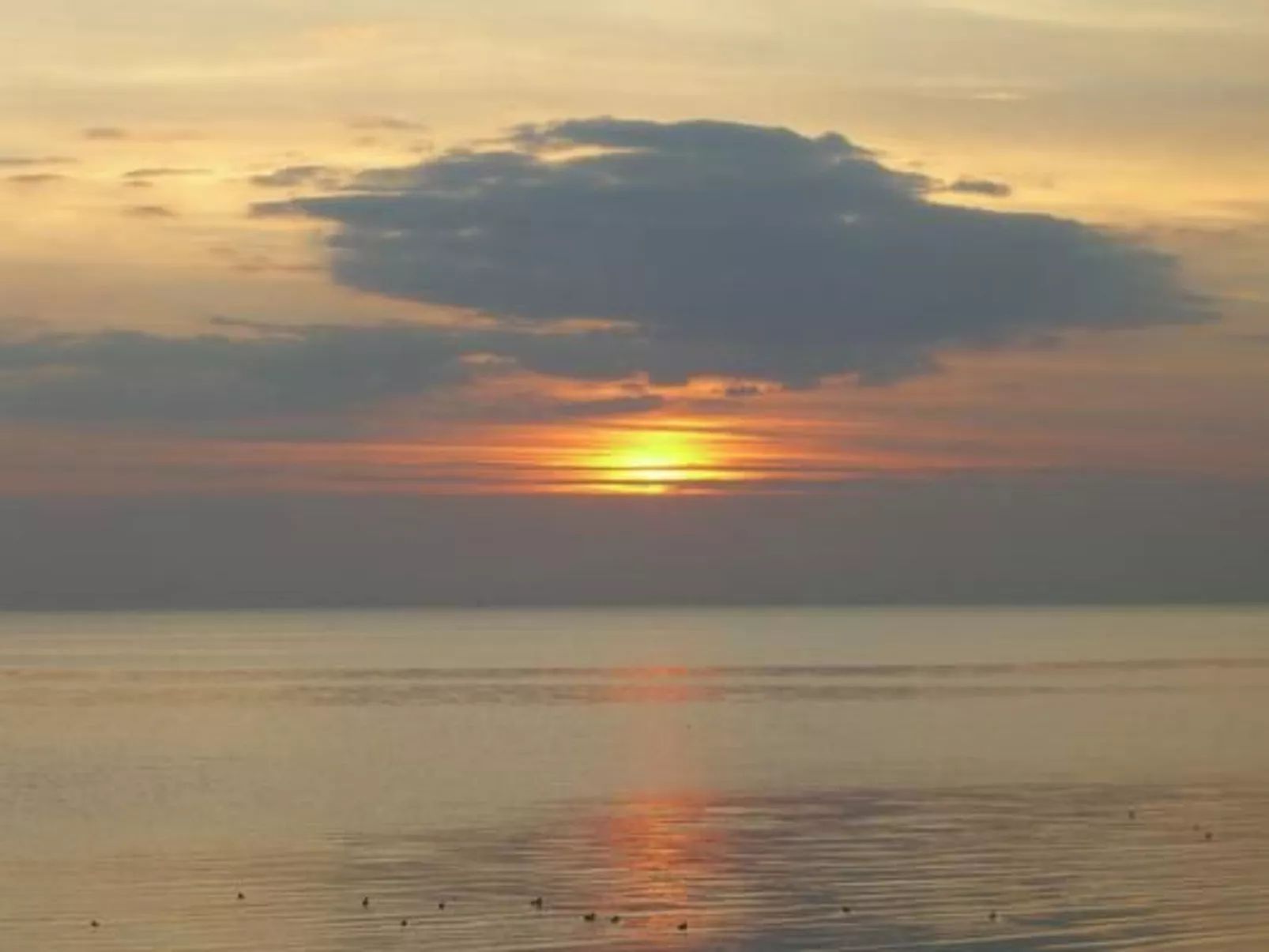 Gemütliche Ferienwohnung in Upleward mit Balkon-Image-tags.info