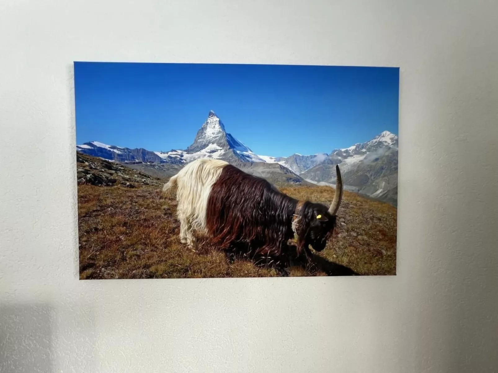 Apartment mit fantastischem Blick aufs Matterhor-Buiten