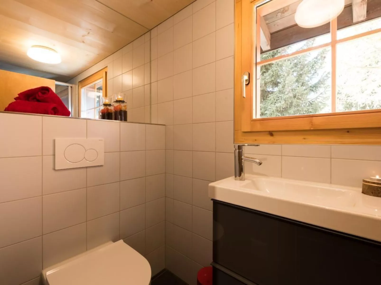 Chalet Heidelbeeri-Binnen