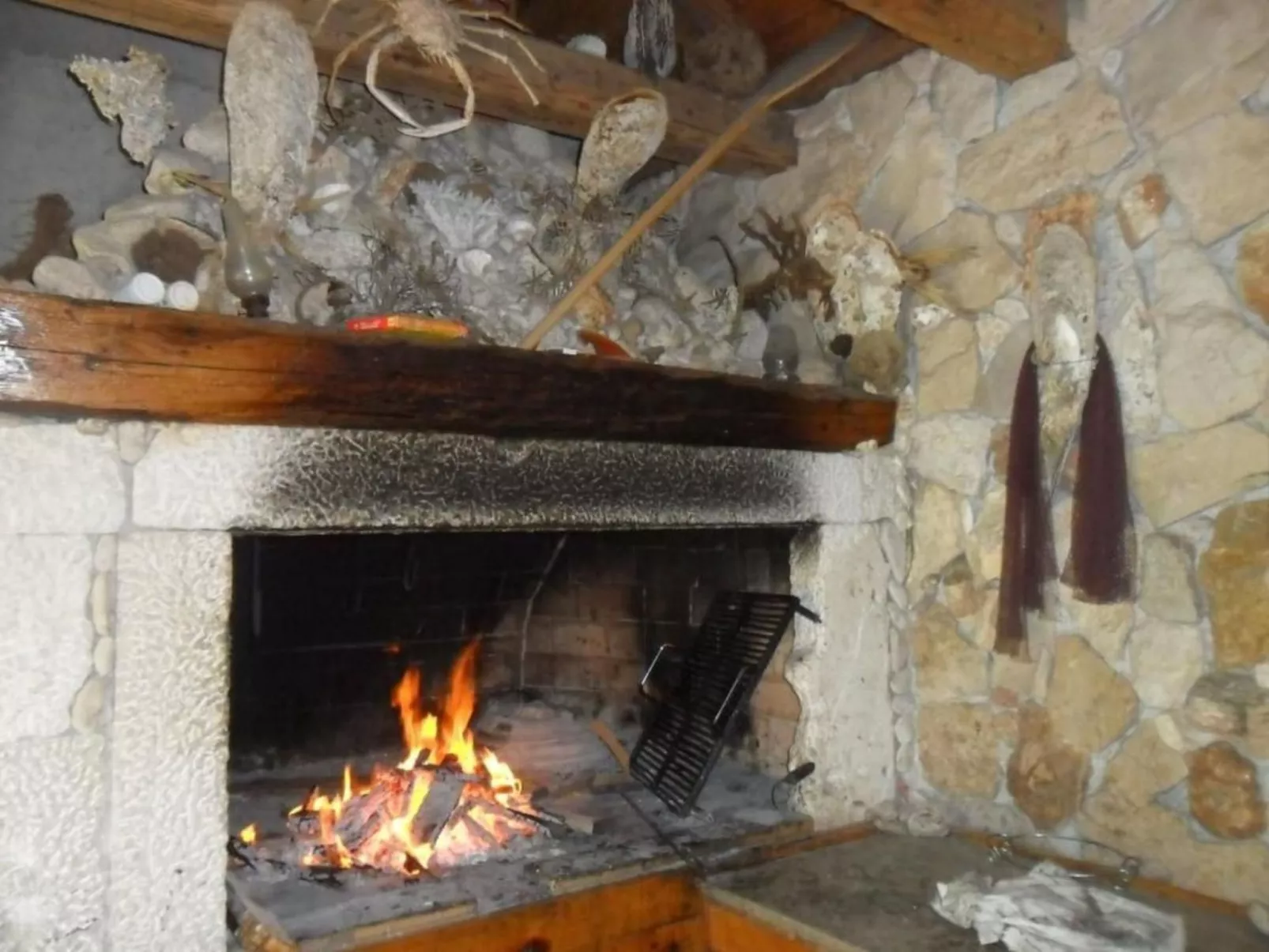 Apartment Delfin - TA Leut Agency-Image-tags.info