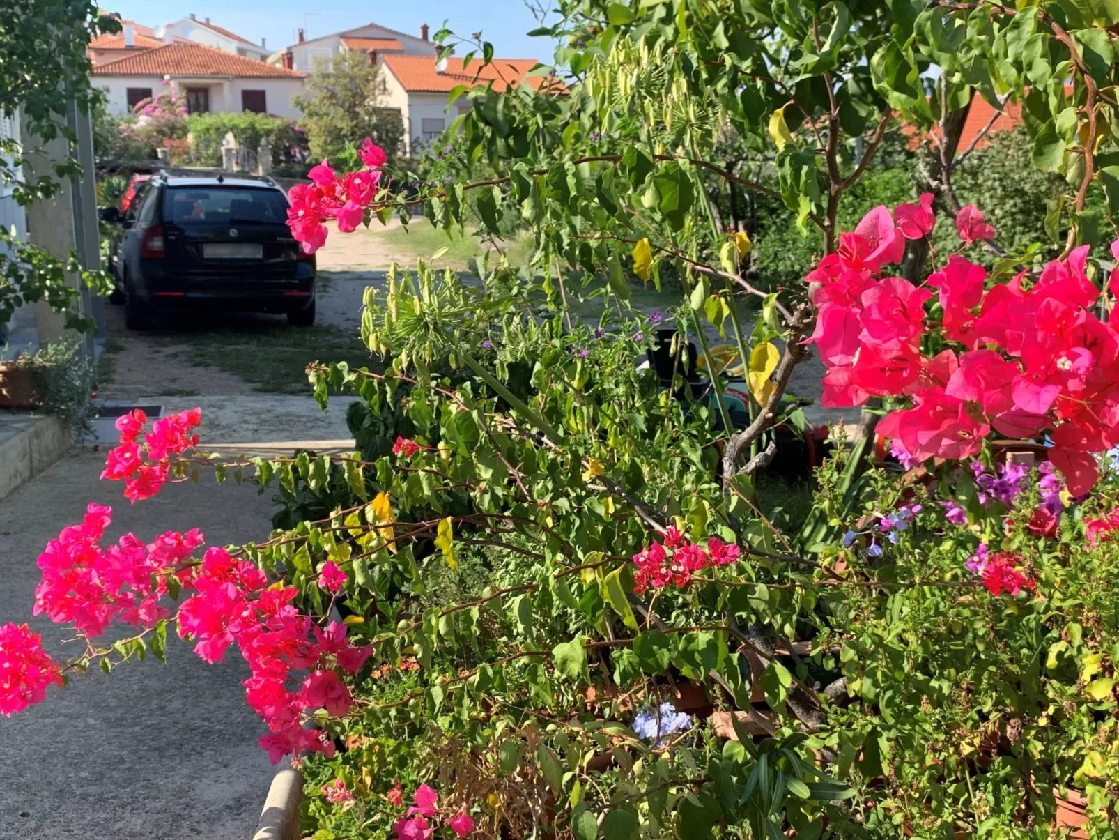 Apartment Gordana-Buiten