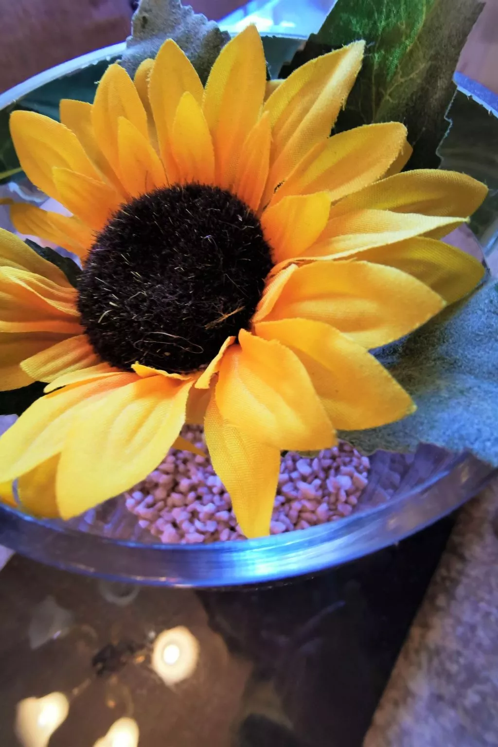 Apartment Nevenka-Image-tags.info