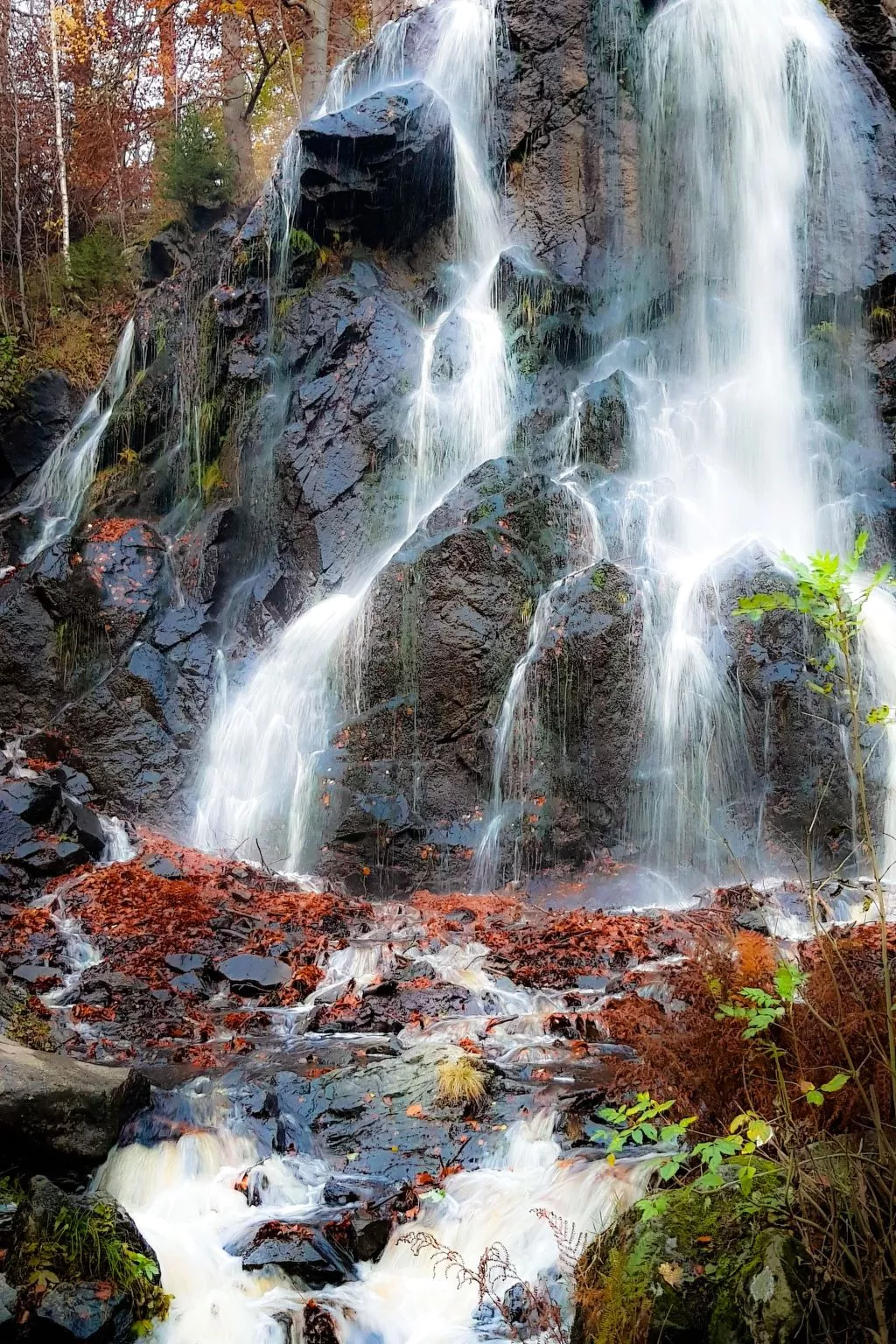 Villa Silberborn A10 - Buiten