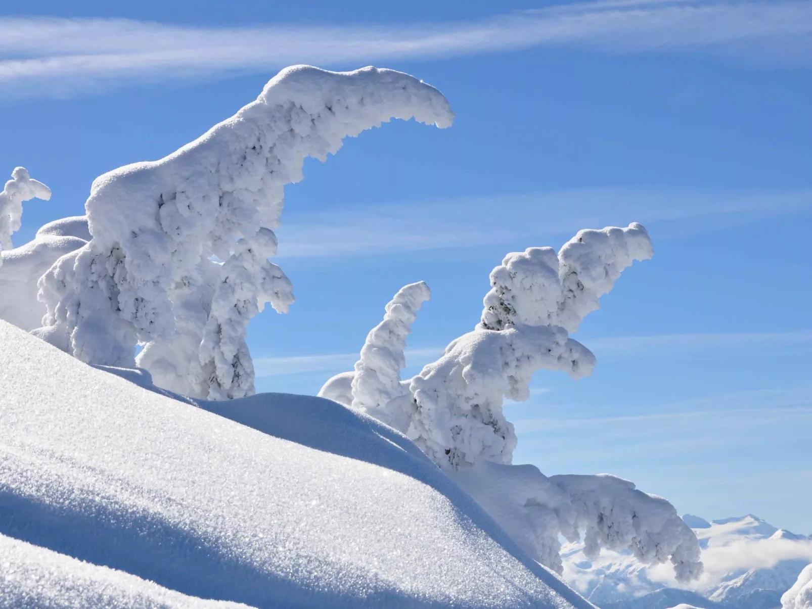 Appartement Almliebe-Buiten