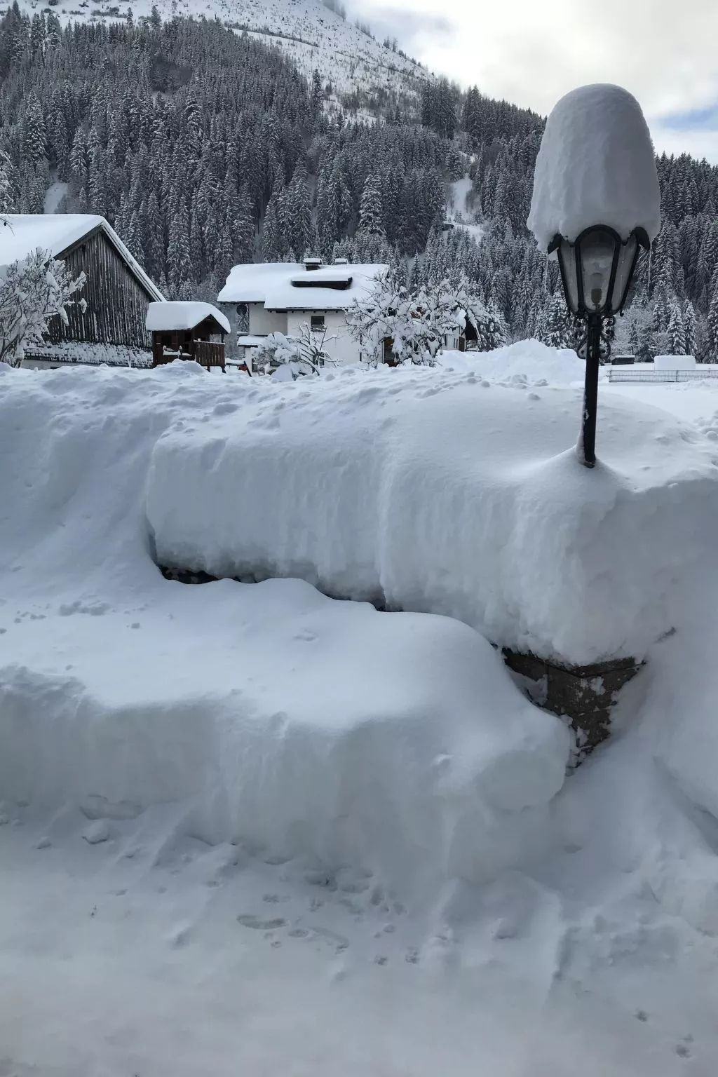 Pony-Ziegen-Hasen-Ranch in Bichlbach-Buiten