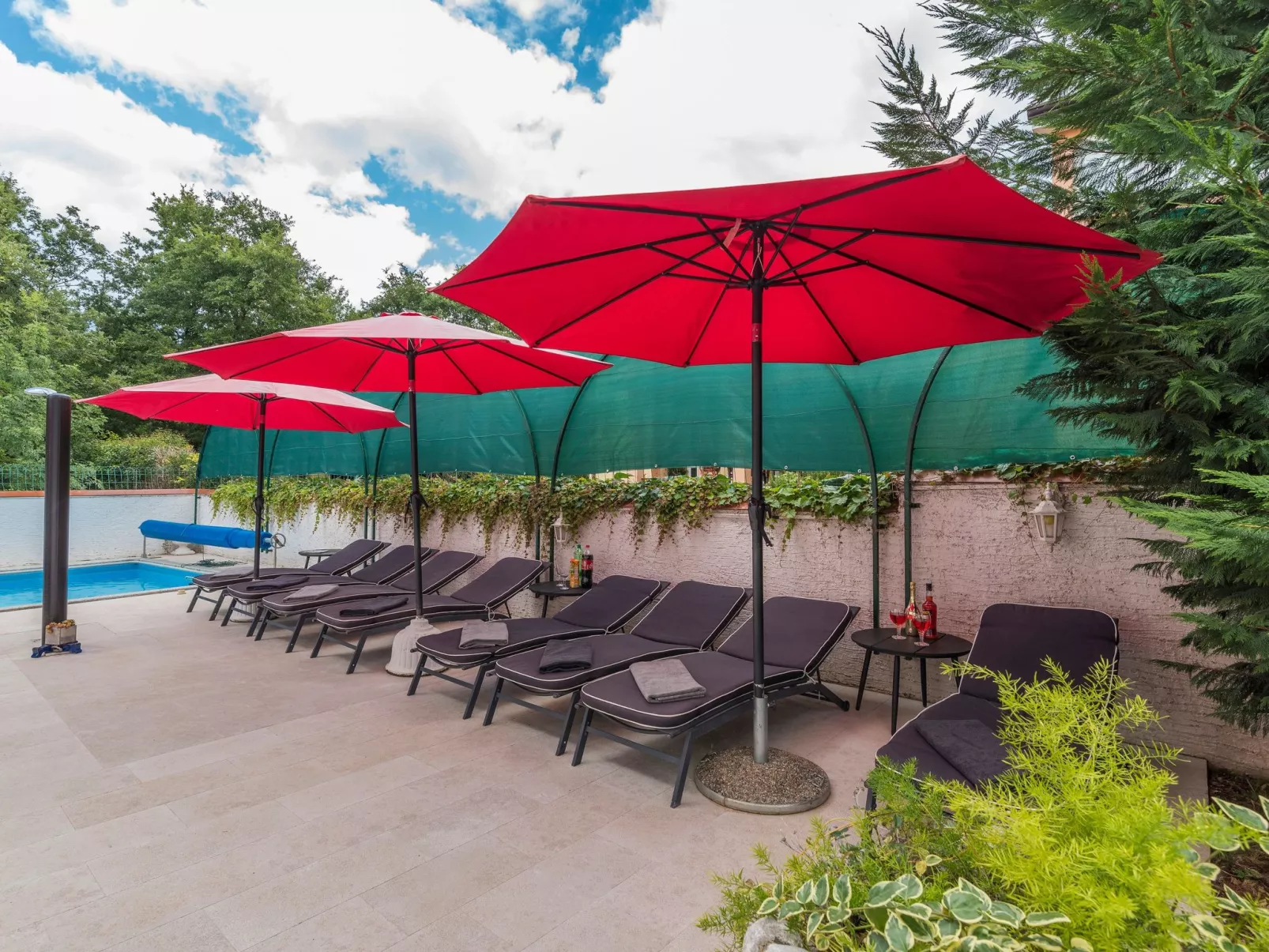 Charmante Familienvilla, in der Hunde willkommen sind-Buiten