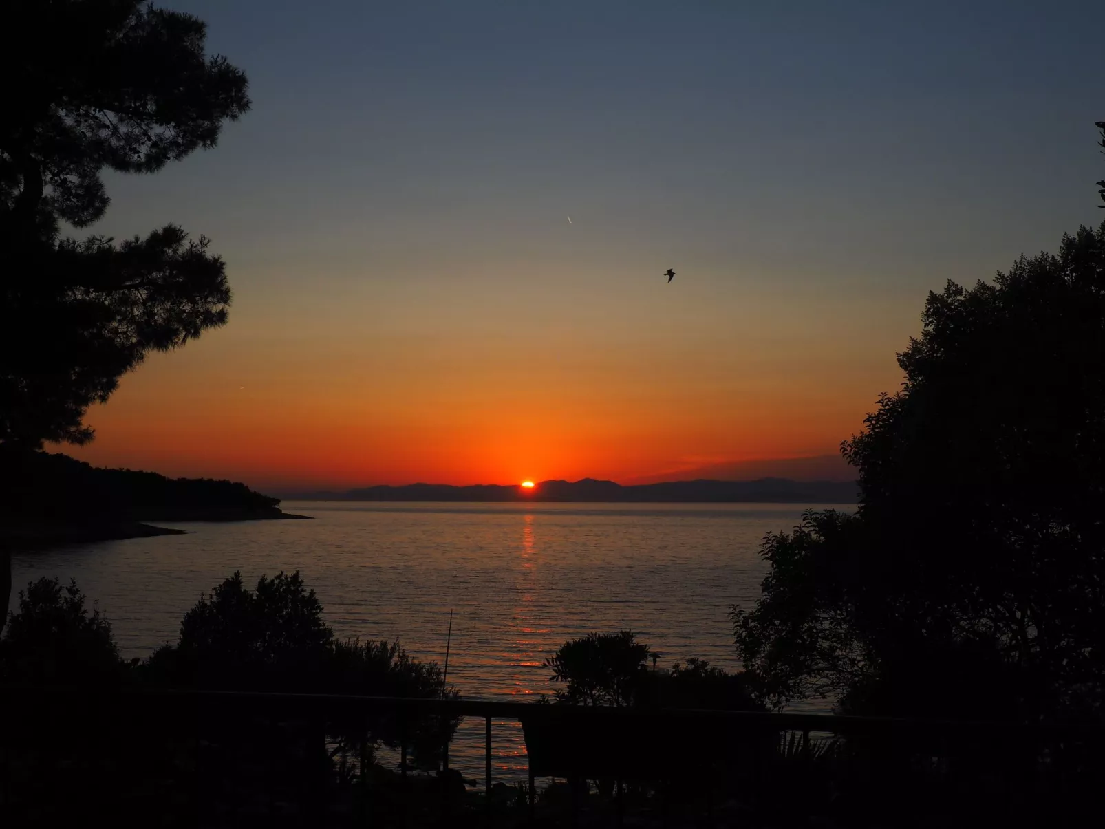 Strandnahe Ferienwohnung mit großer Terrasse-Buiten