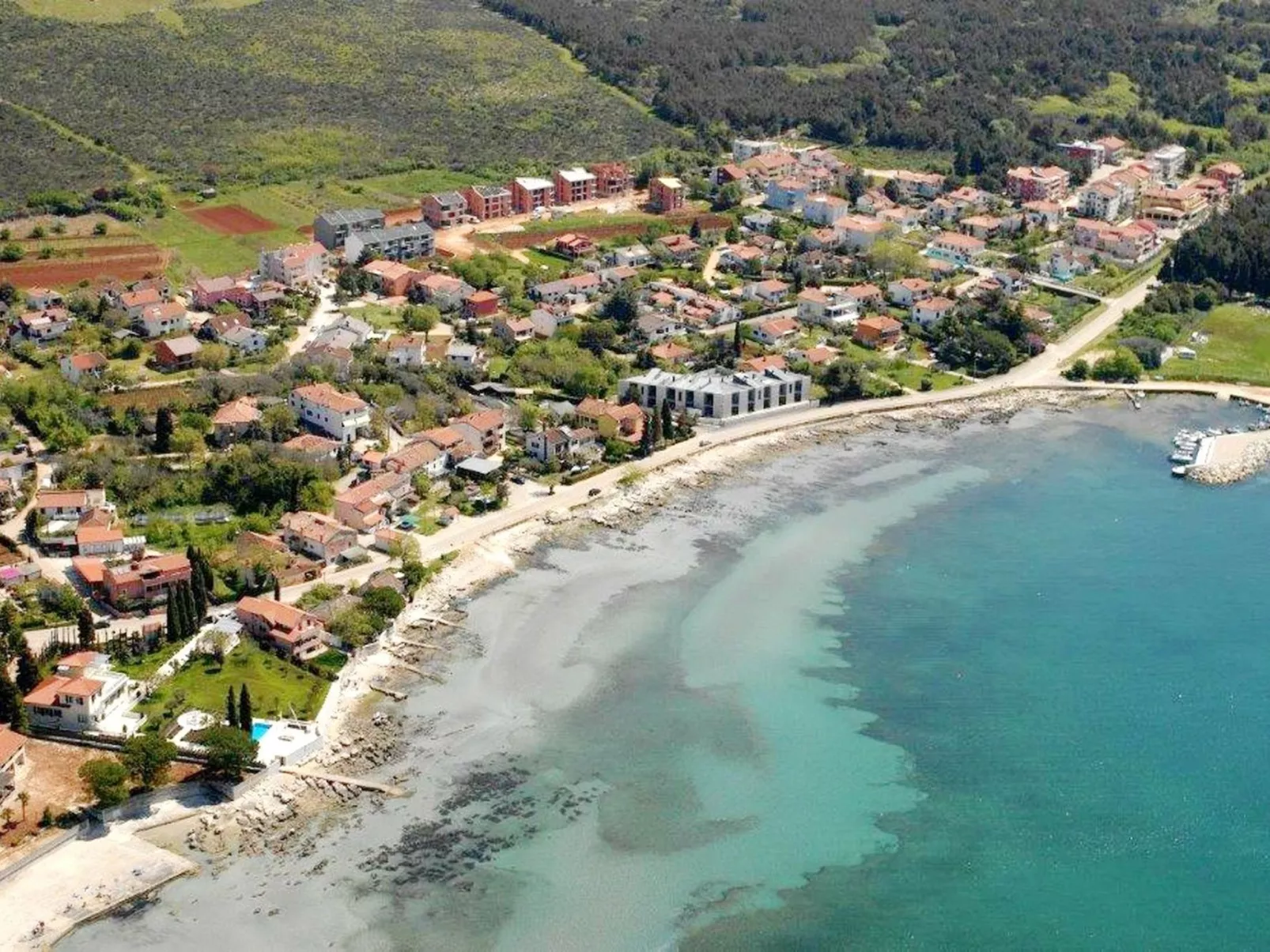 Vesna Peovic-Image-tags.info