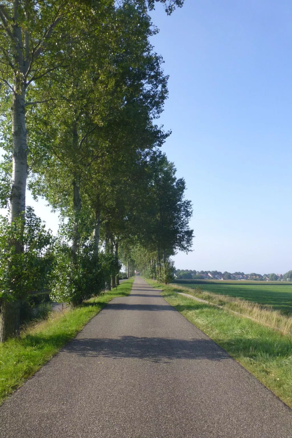 Neuer schöner Bungalow-Buiten