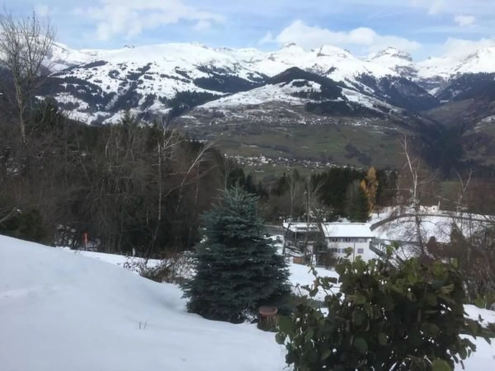 Studio Silberdistel-Image-tags.info