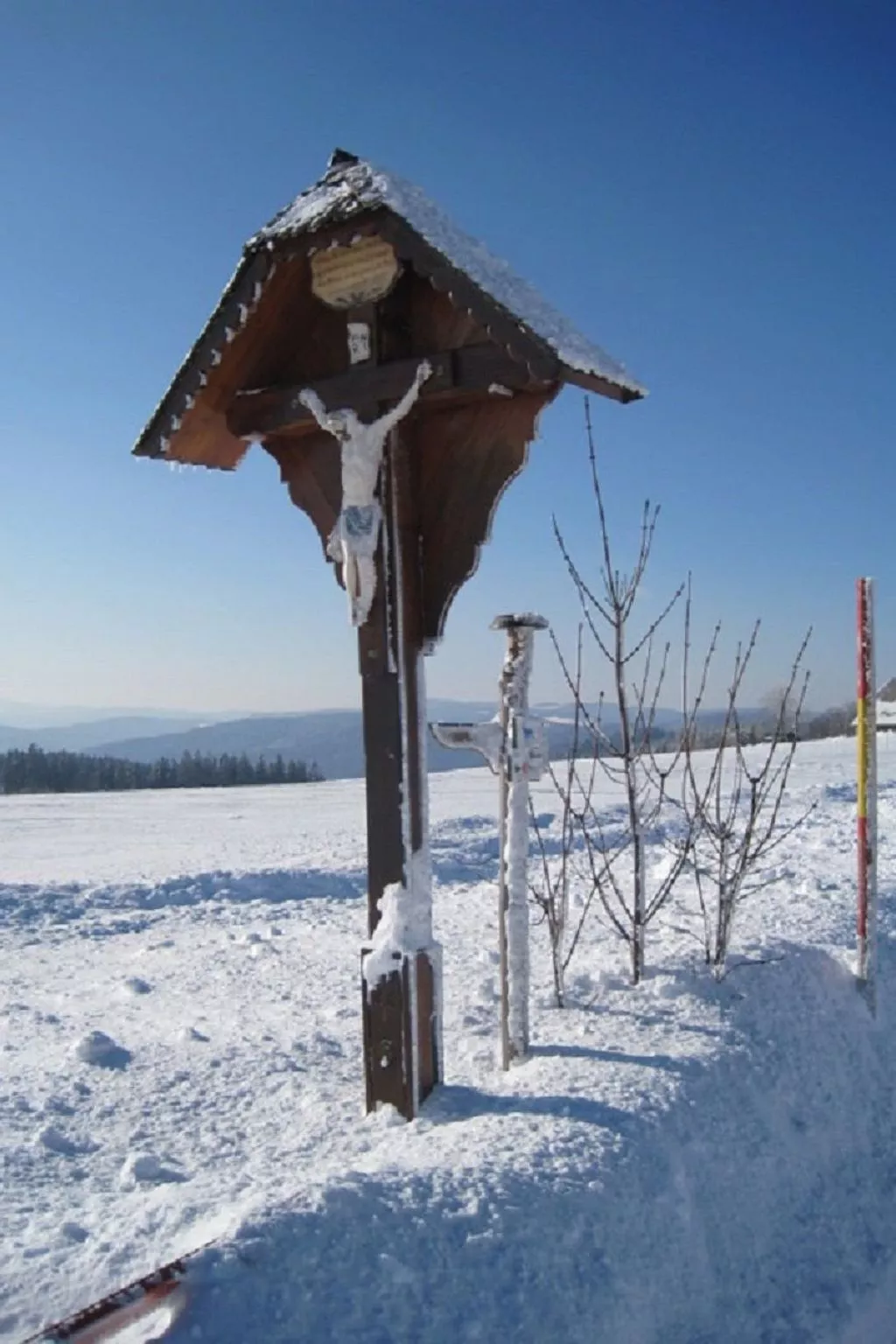 Appartement mit Garten in Schwärzenbach-Image-tags.info