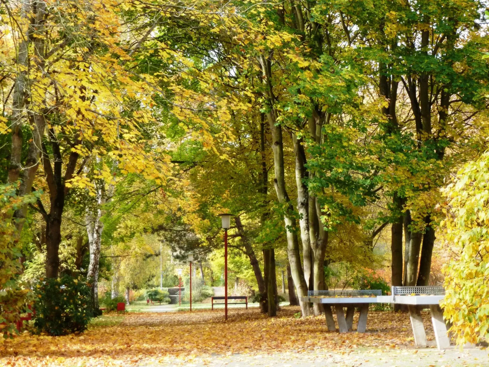 Eifelhaus4you-Buiten