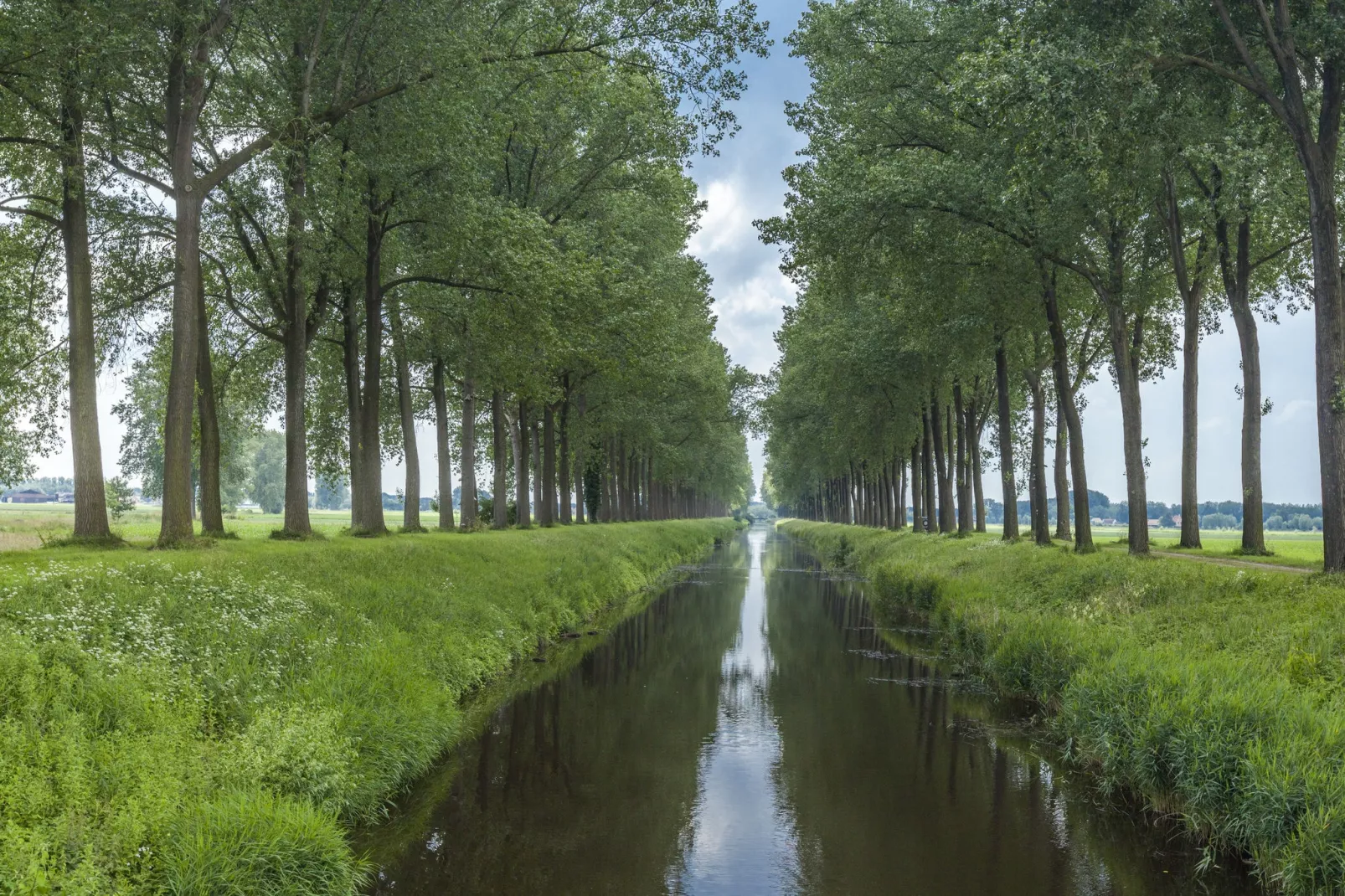 De Zonnebrug-Gebieden zomer 1km