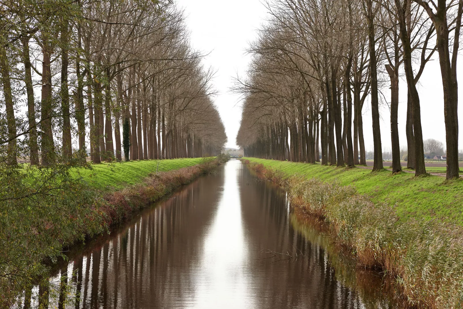 De Zonnebrug-Gebied winter 1km