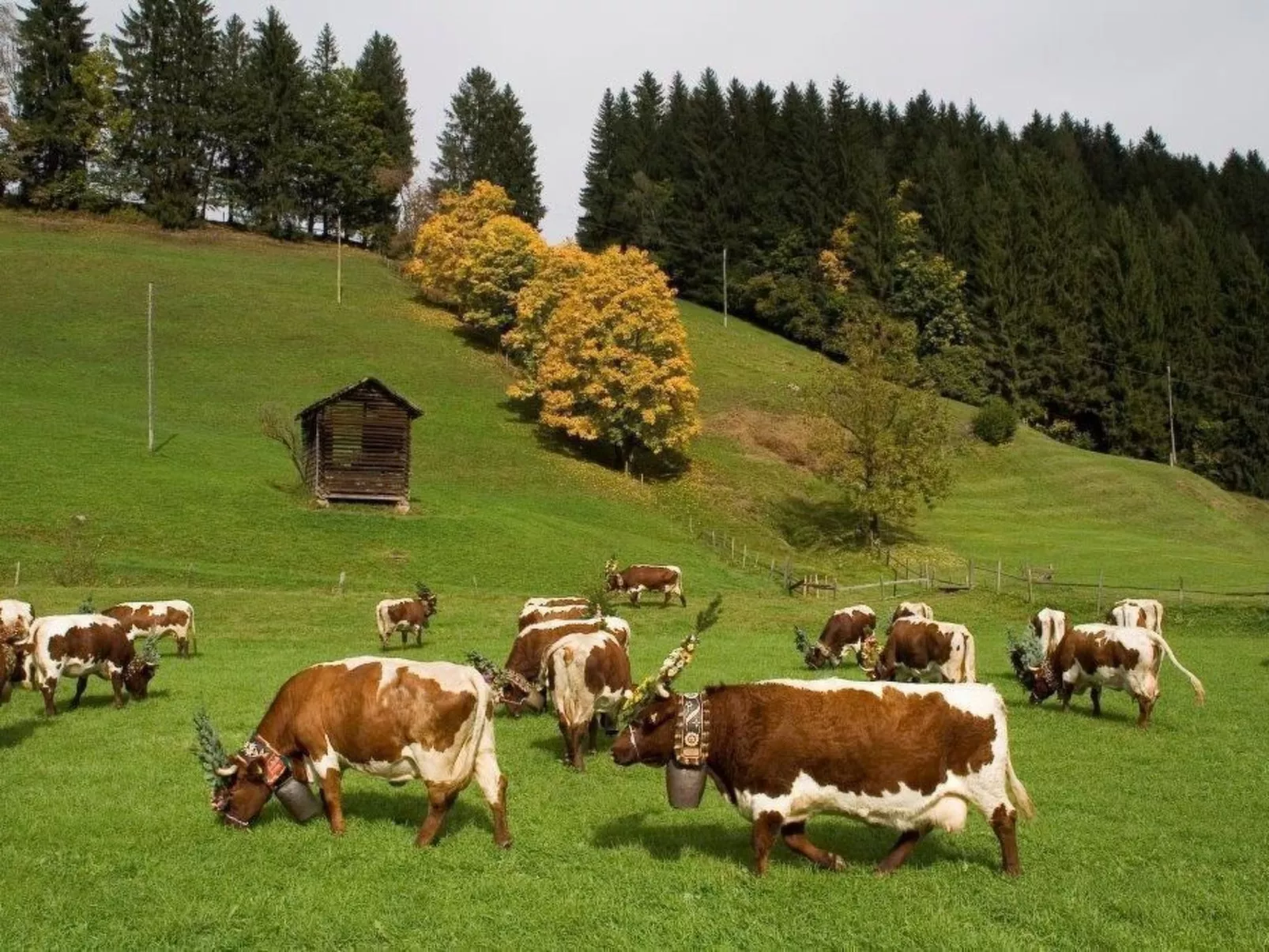 Sonnblick in Hollersbach im Pinzgau-Buiten