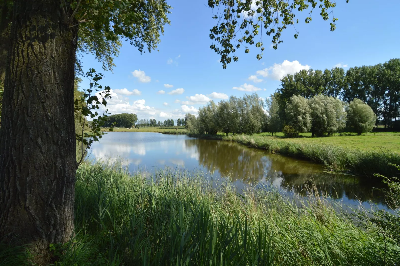 De Zonnebrug-Gebieden zomer 1km