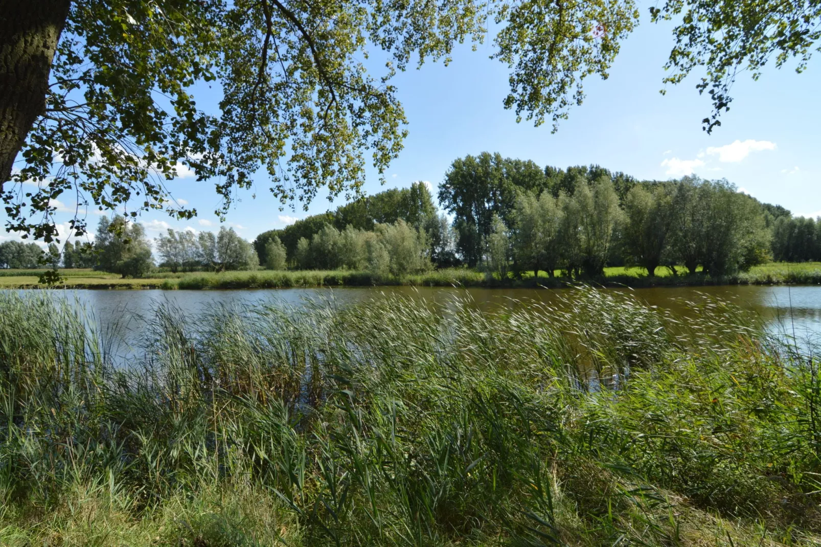 De Zonnebrug-Gebieden zomer 1km