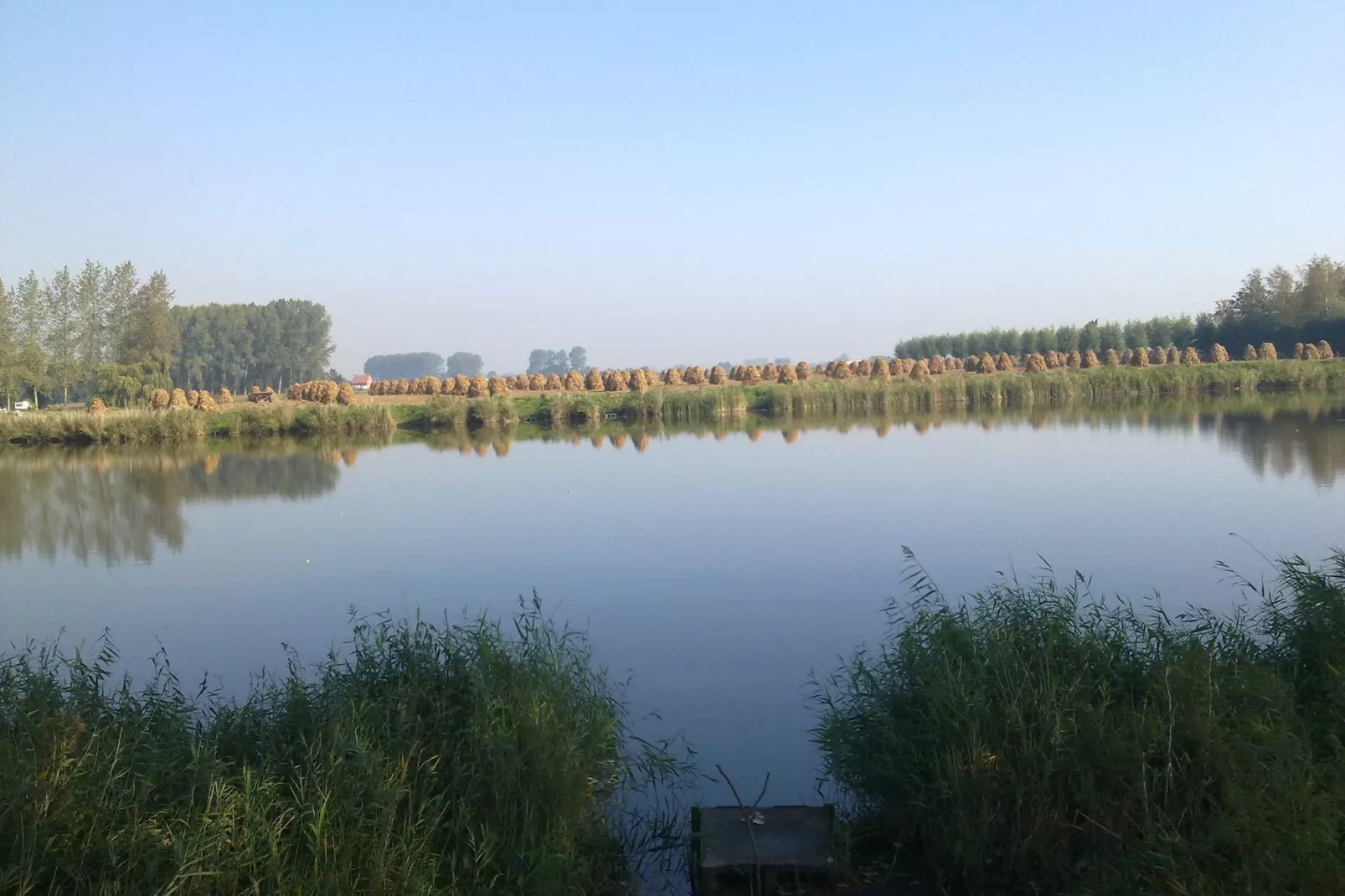 De Zonnebrug-Gebieden zomer 1km