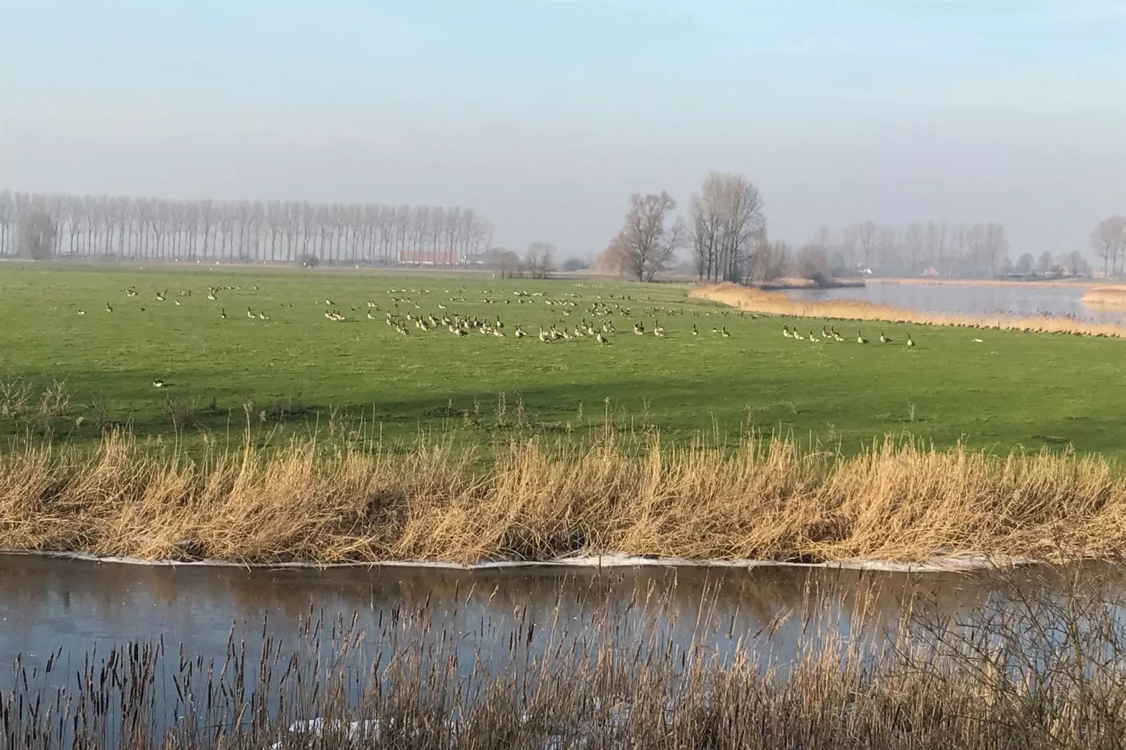 De Zonnebrug-Gebied winter 1km