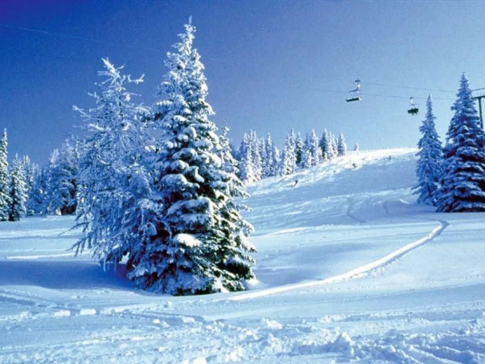 Almchalet Orter in Treffen am Ossiacher See-Buiten