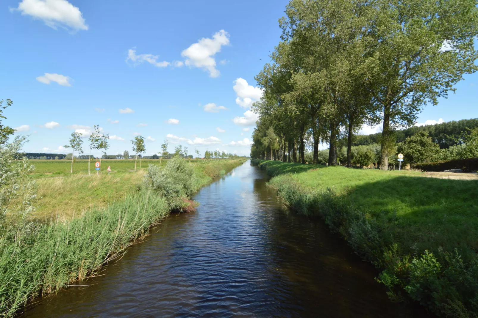 De Zonnebrug-Gebieden zomer 1km