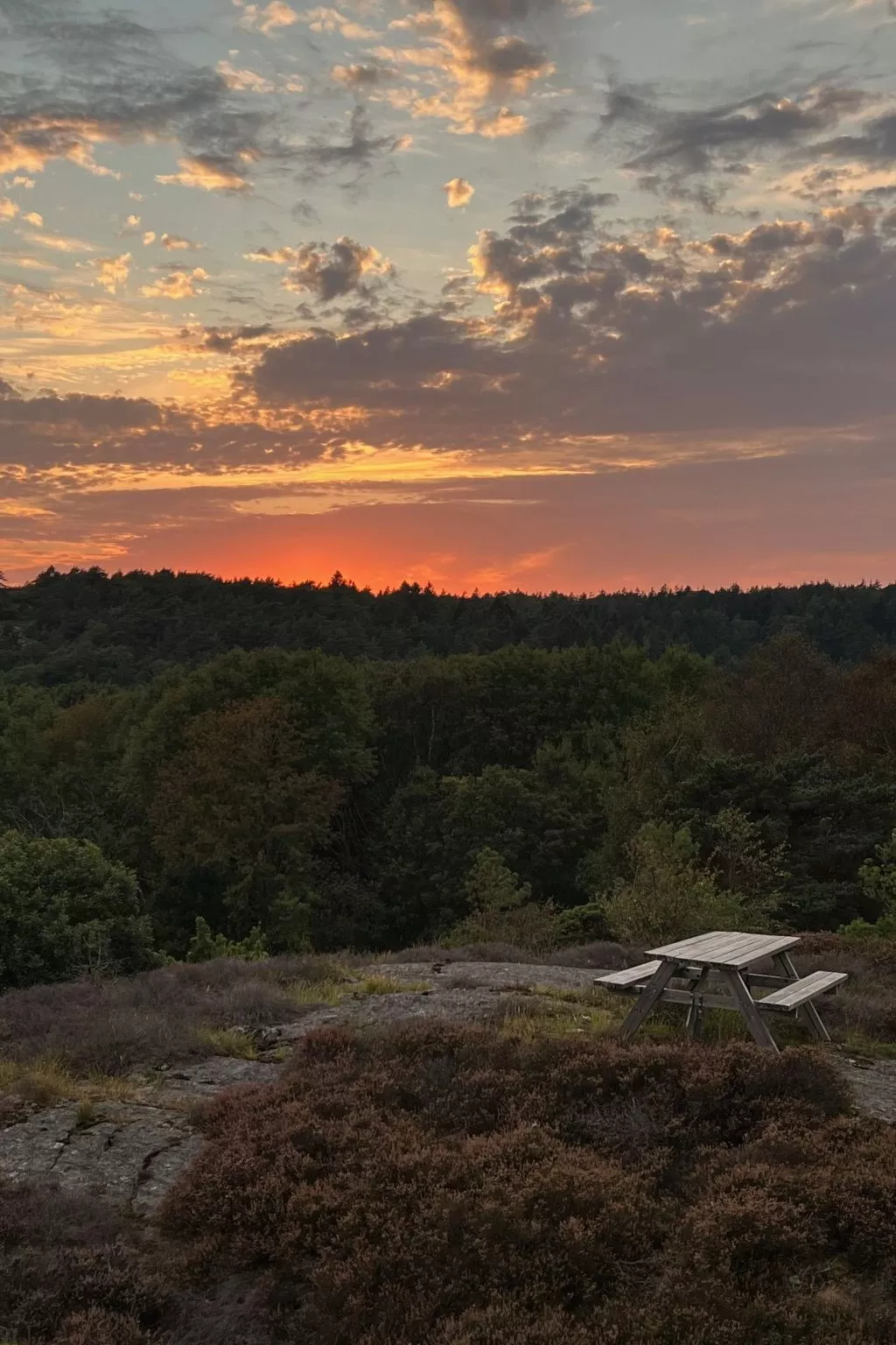 Sea Breeze-Image-tags.info