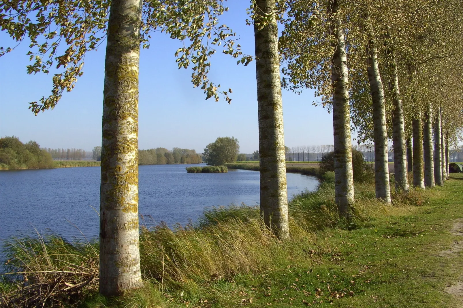 De Zonnebrug-Gebieden zomer 1km